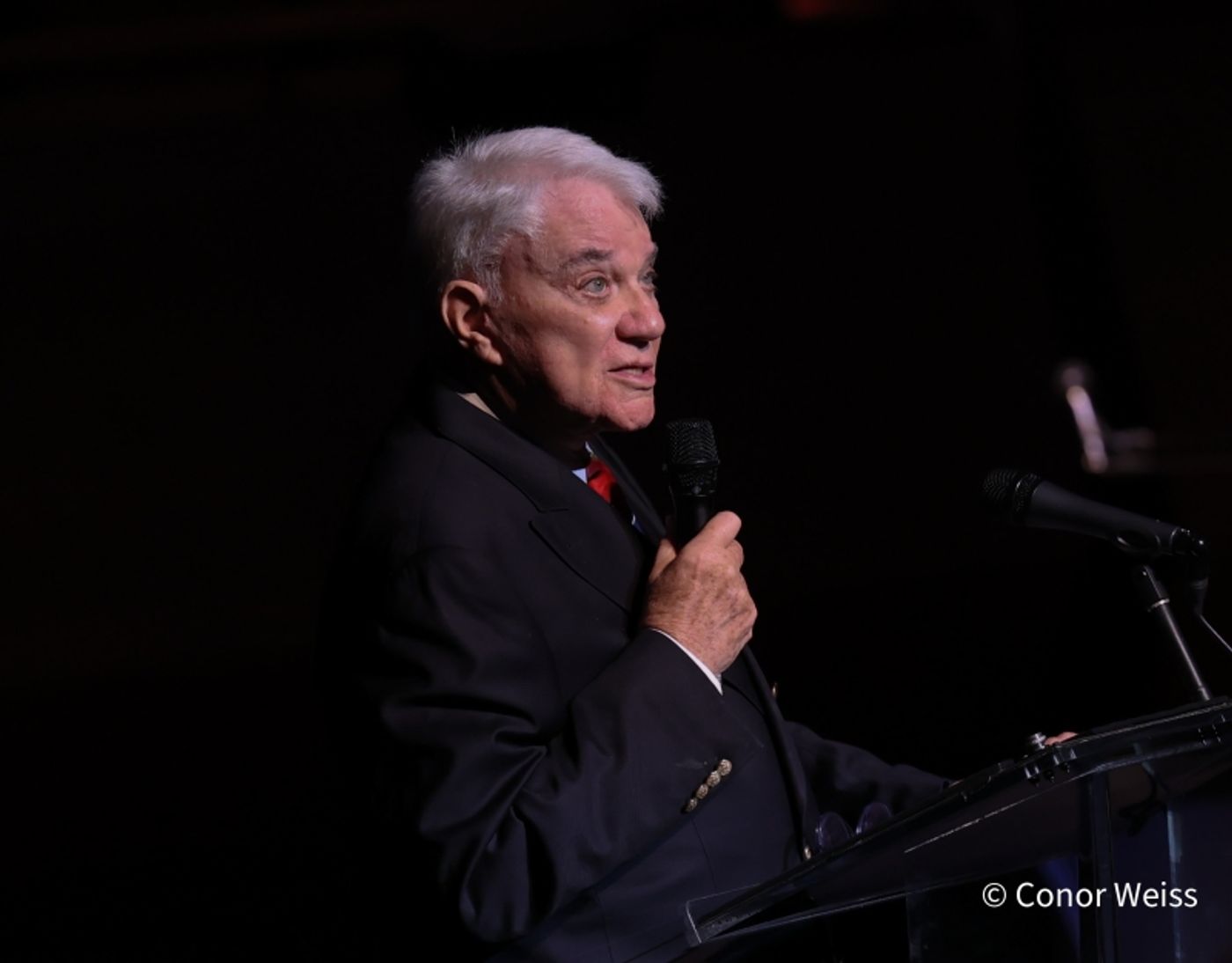 Photos: SENTIMENTAL JOURNEY: A TRIBUTE TO DORIS DAY at Rose Theater Brightens Up Cabaret Convention  Image