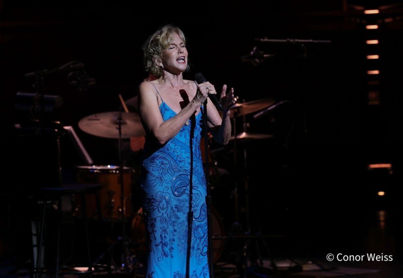 Photos: SENTIMENTAL JOURNEY: A TRIBUTE TO DORIS DAY at Rose Theater Brightens Up Cabaret Convention  Image