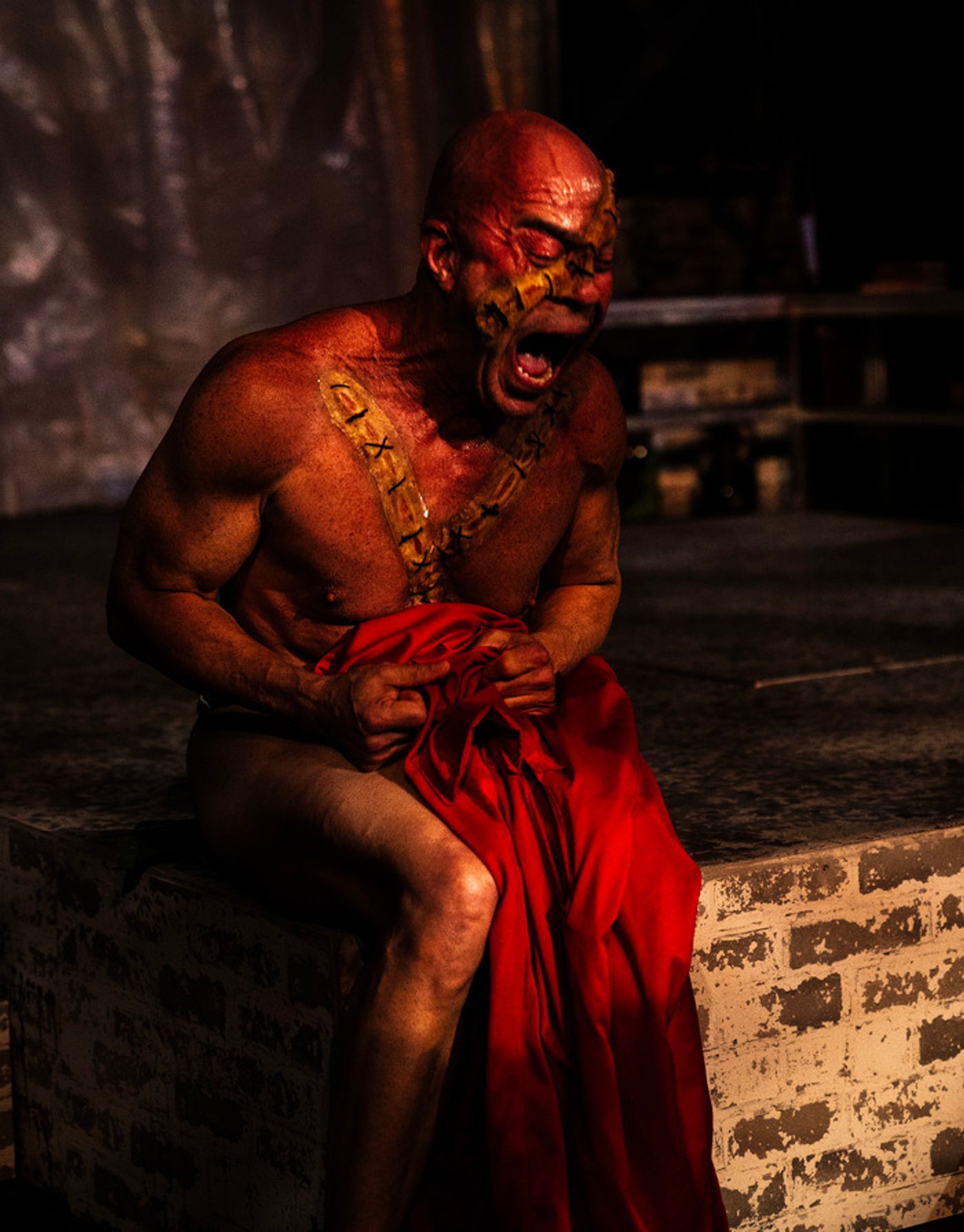 Photos: Get a First Look at FRANKENSTEIN at Jobsite Theater  Image