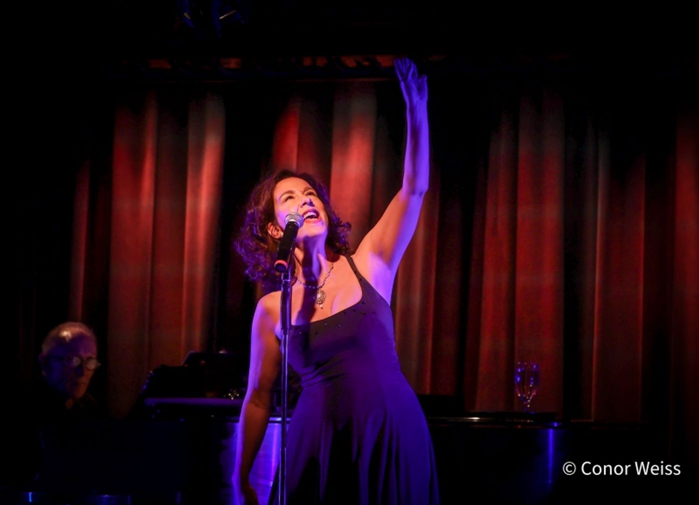 Photos: Olivia Stevens Plays PLEASURE AND PERIL at The Laurie Beechman Theatre Photos: Olivia Stevens Plays PLEASURE AND PERIL at The Laurie Beechman Theatre Image
