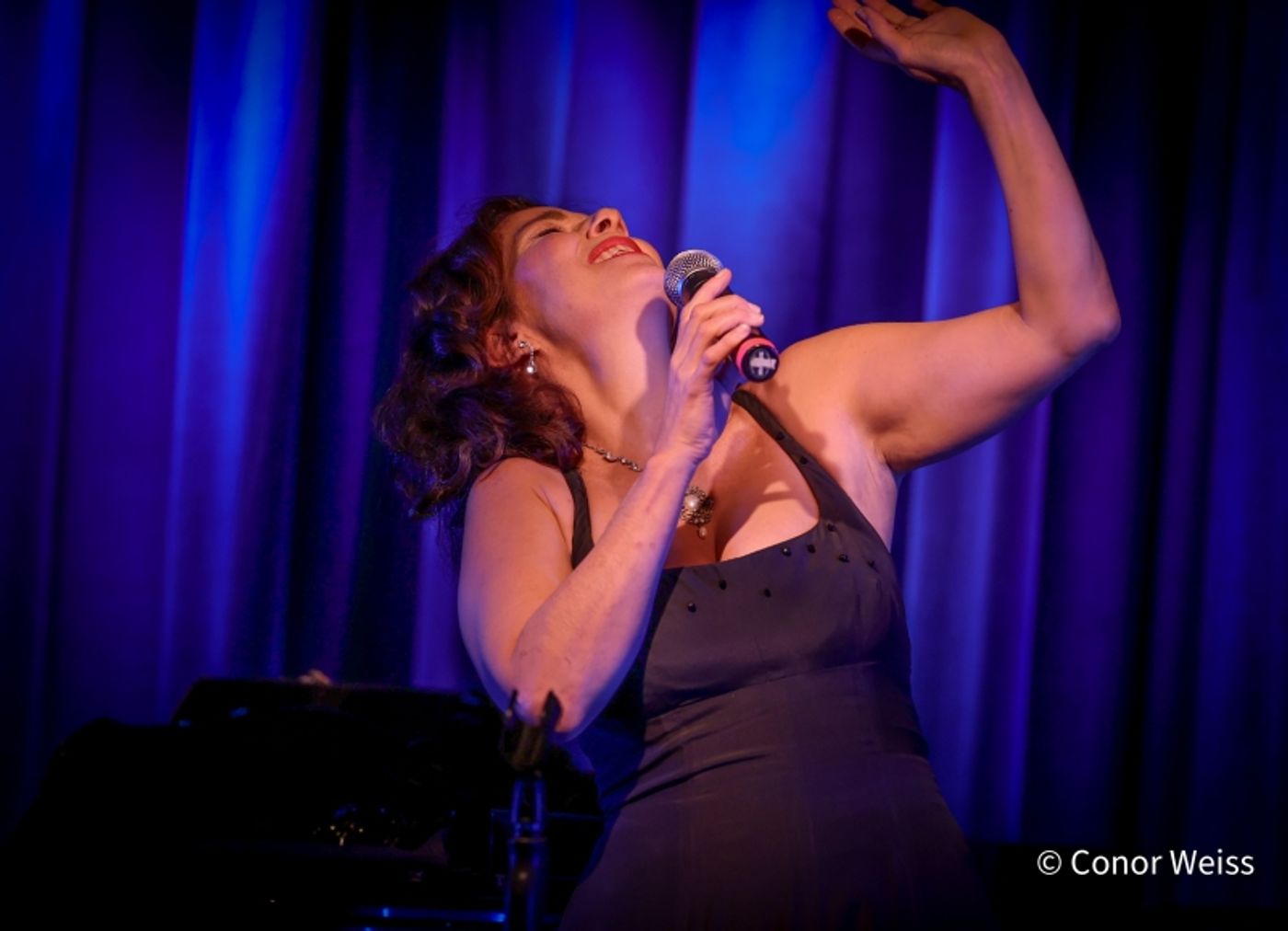 Photos: Olivia Stevens Plays PLEASURE AND PERIL at The Laurie Beechman Theatre Photos: Olivia Stevens Plays PLEASURE AND PERIL at The Laurie Beechman Theatre Image