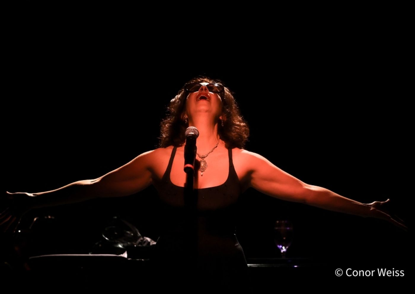 Photos: Olivia Stevens Plays PLEASURE AND PERIL at The Laurie Beechman Theatre Photos: Olivia Stevens Plays PLEASURE AND PERIL at The Laurie Beechman Theatre Image