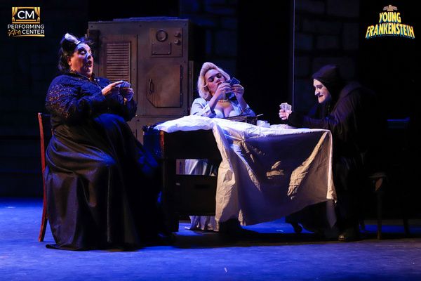 Photos: First Look At CM Performing Arts Presents Mel Brooks' YOUNG FRANKENSTEIN  Image