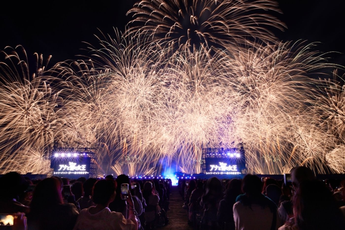 Review: DISNEY MUSIC & FIREWORKS at Maishima Sports Island  Image