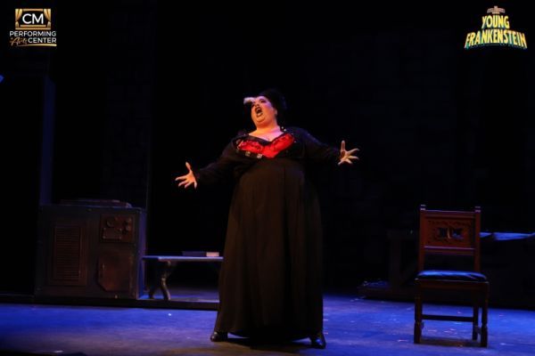 Review: 'If You're Blue and You Don't Know Where To Go To Why Don't You Go' to CMPAC's YOUNG FRANKENSTEIN  Image