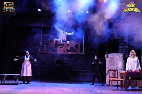 Review: 'If You're Blue and You Don't Know Where To Go To Why Don't You Go' to CMPAC's YOUNG FRANKENSTEIN  Image