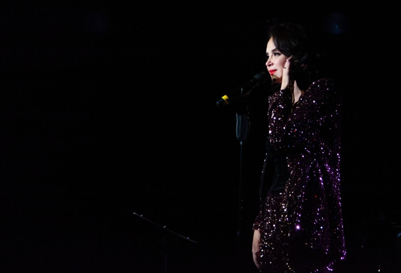 Review: Alexandra Silber Glimmers Bright As The North Star In THE HOUR OF THE PEARL at The Green Room 42 Review: Alexandra Silber Glimmers Bright As The North Star In THE HOUR OF THE PEARL at The Green Room 42 Image