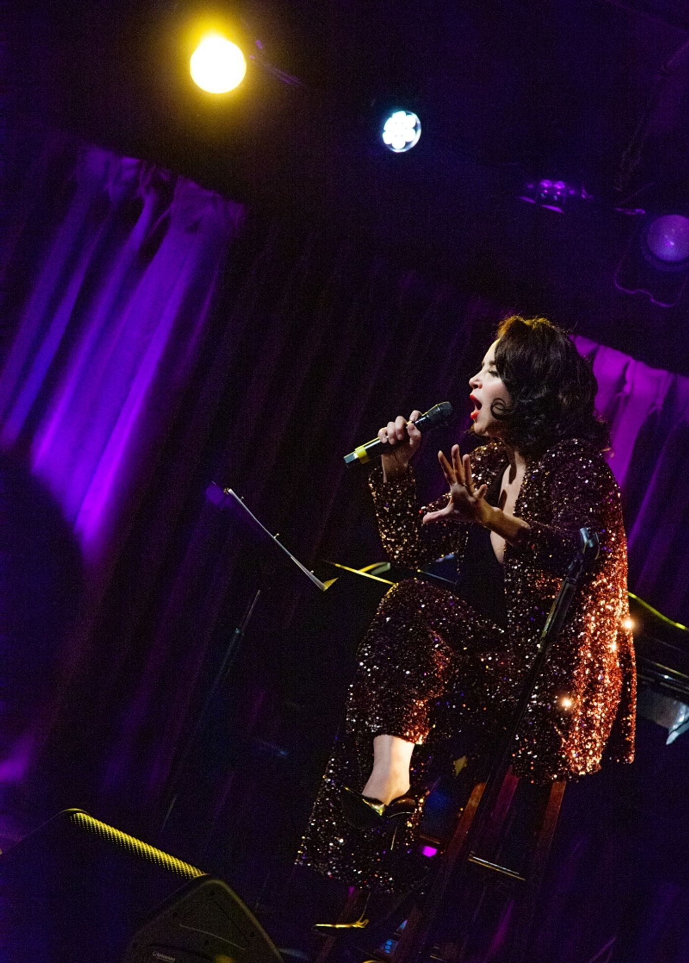 Review: Alexandra Silber Glimmers Bright As The North Star In THE HOUR OF THE PEARL at The Green Room 42 Review: Alexandra Silber Glimmers Bright As The North Star In THE HOUR OF THE PEARL at The Green Room 42 Image