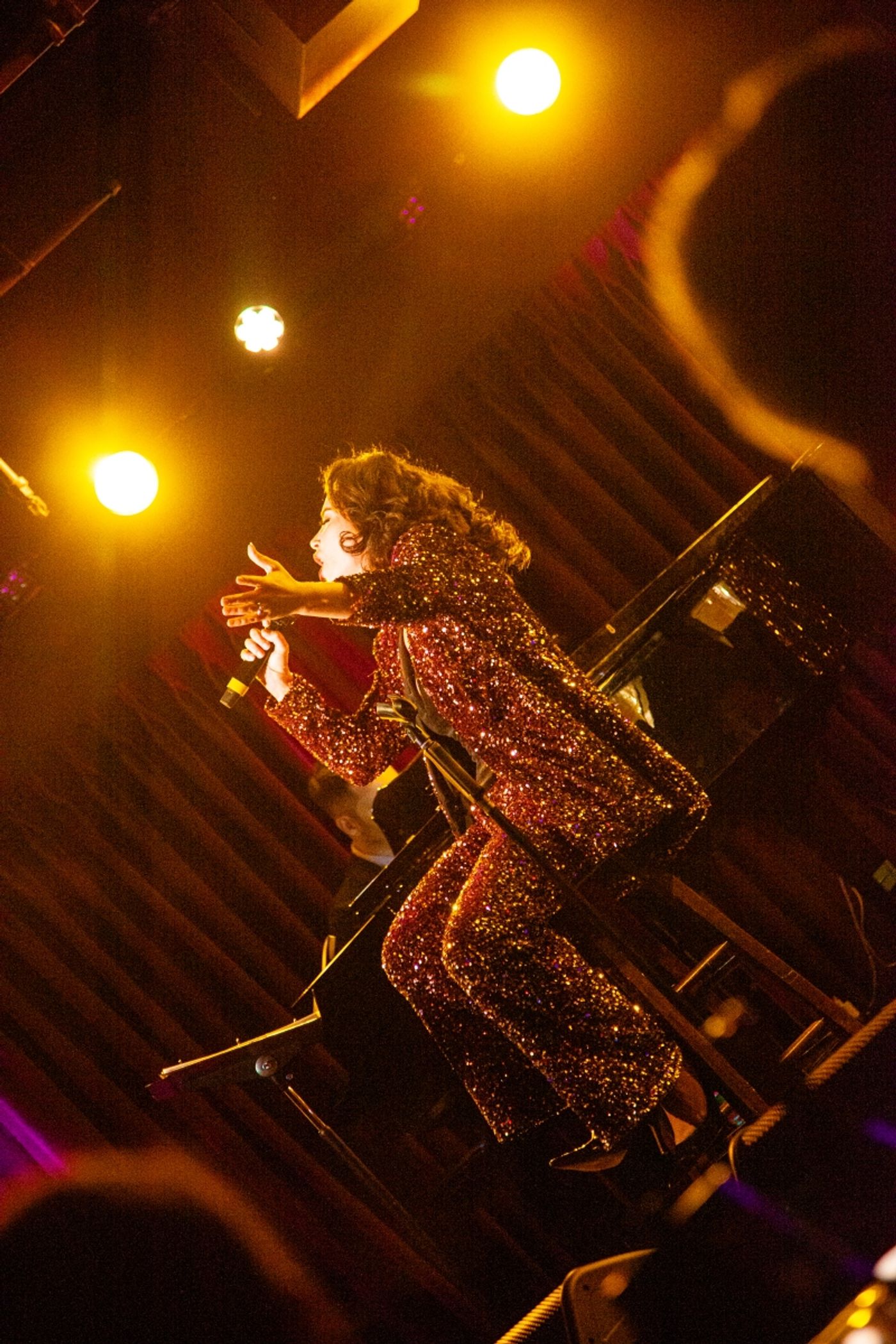 Review: Alexandra Silber Glimmers Bright As The North Star In THE HOUR OF THE PEARL at The Green Room 42 Review: Alexandra Silber Glimmers Bright As The North Star In THE HOUR OF THE PEARL at The Green Room 42 Image