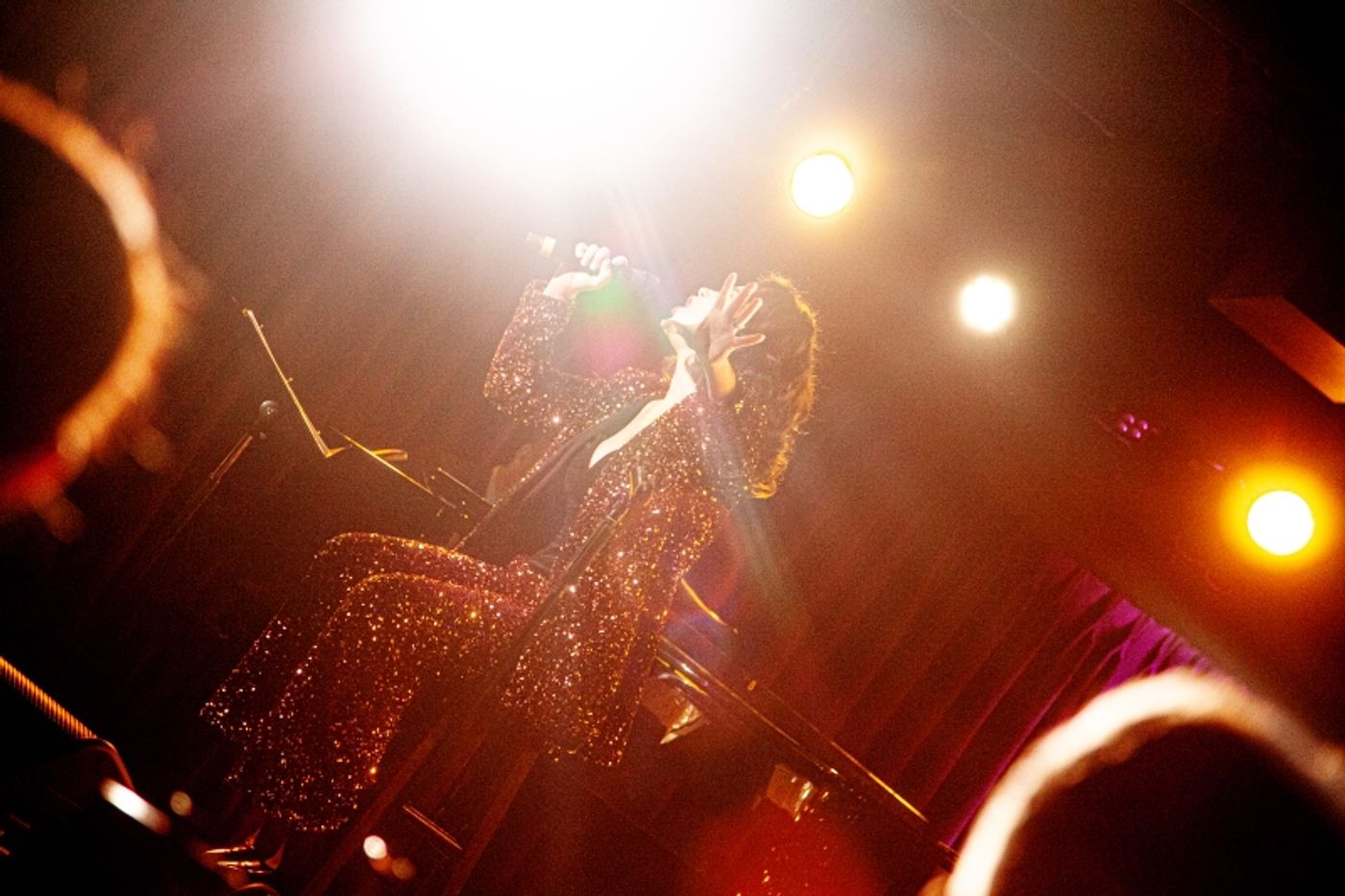 Review: Alexandra Silber Glimmers Bright As The North Star In THE HOUR OF THE PEARL at The Green Room 42 Review: Alexandra Silber Glimmers Bright As The North Star In THE HOUR OF THE PEARL at The Green Room 42 Image