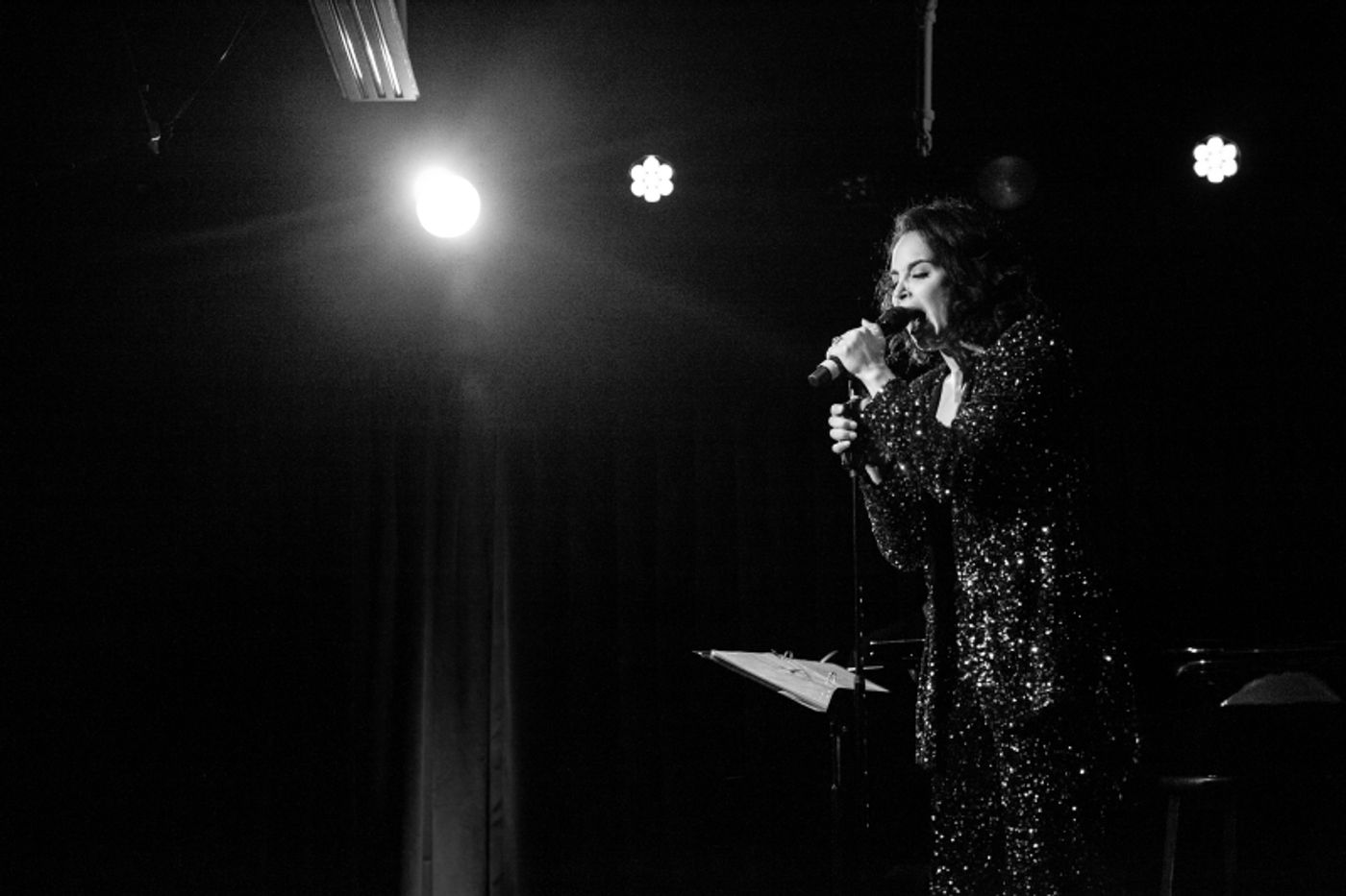 Review: Alexandra Silber Glimmers Bright As The North Star In THE HOUR OF THE PEARL at The Green Room 42 Review: Alexandra Silber Glimmers Bright As The North Star In THE HOUR OF THE PEARL at The Green Room 42 Image