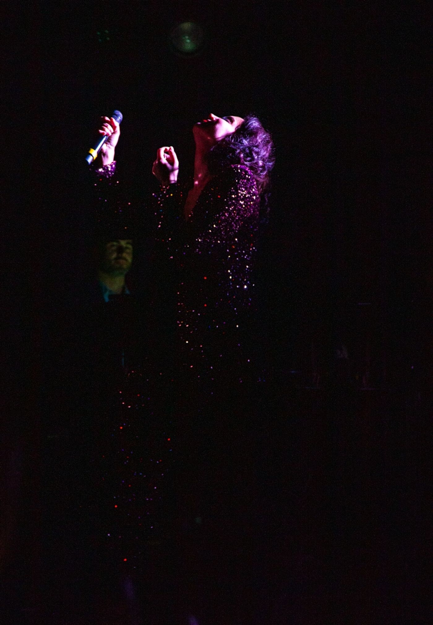 Review: Alexandra Silber Glimmers Bright As The North Star In THE HOUR OF THE PEARL at The Green Room 42 Review: Alexandra Silber Glimmers Bright As The North Star In THE HOUR OF THE PEARL at The Green Room 42 Image