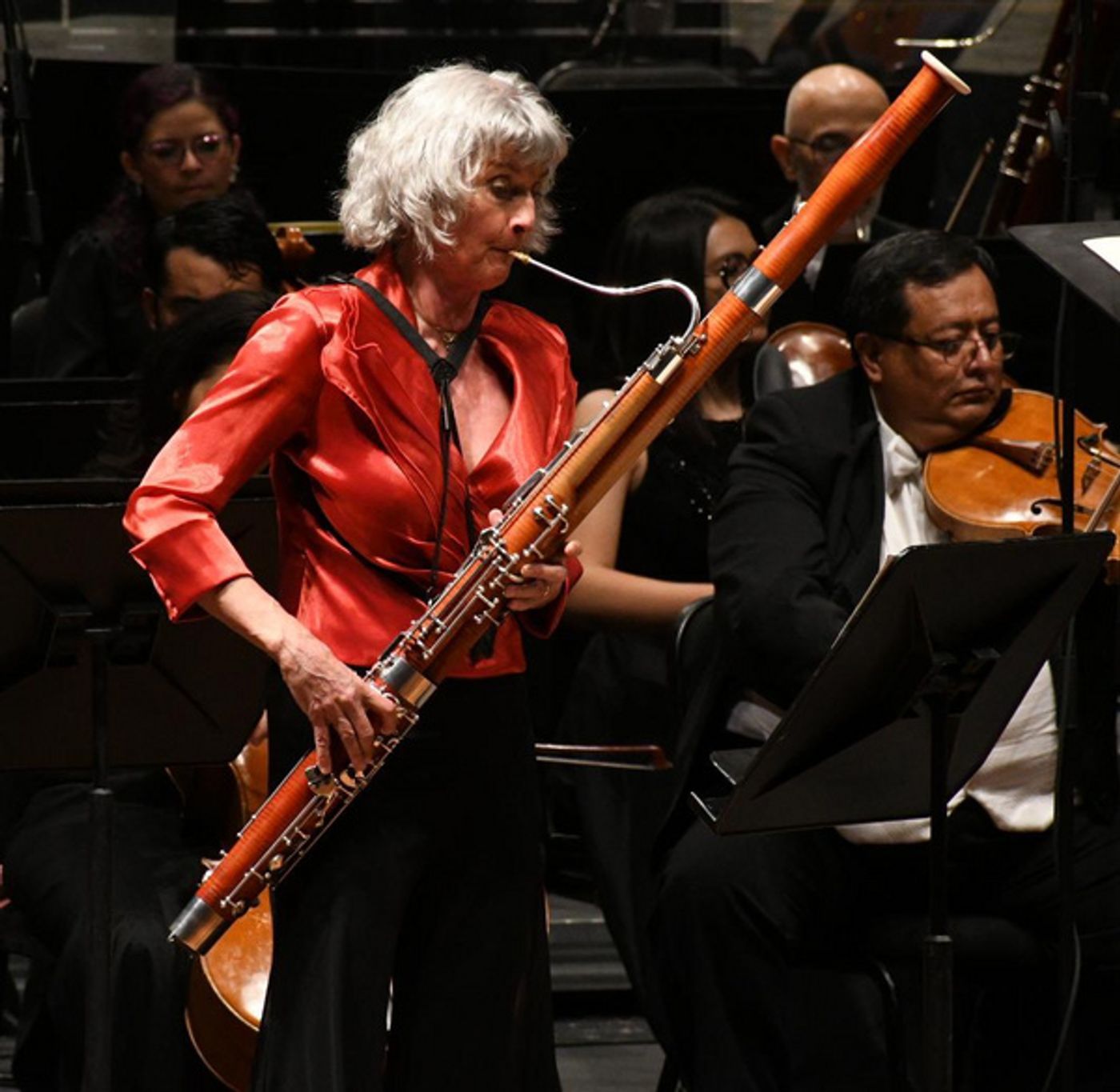 Photos: La Orquesta Sinfónica Nacional Hermanó Al Público Con El Himno A La Alegría Photos: La Orquesta Sinfónica Nacional Hermanó Al Público Con El Himno A La Alegría Image