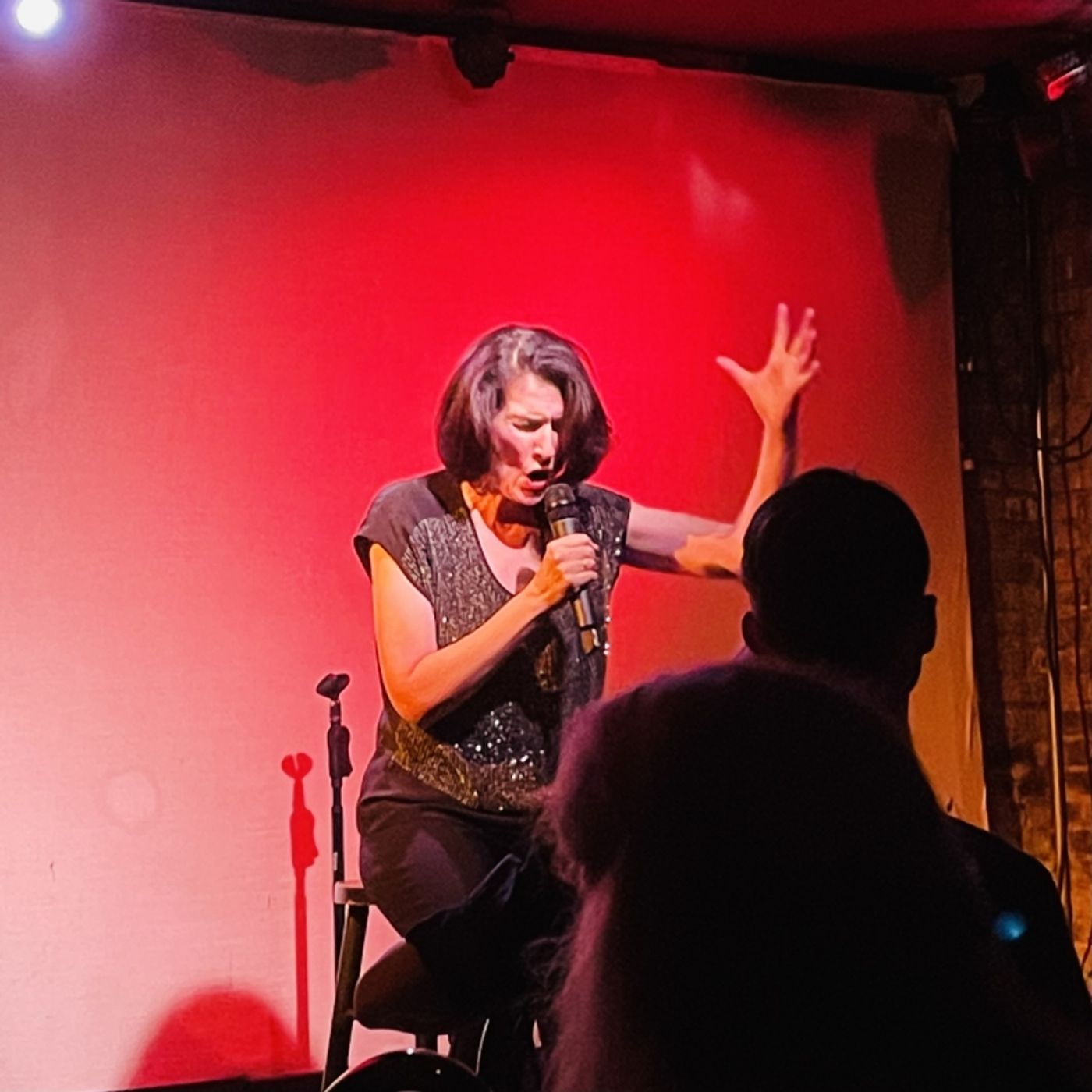 Review: Meg Flather's HAMMERSTEIN AND SONDHEIM: CAREFULLY TAUGHT A Tour-De-Force Performance At Don't Tell Mama  Image