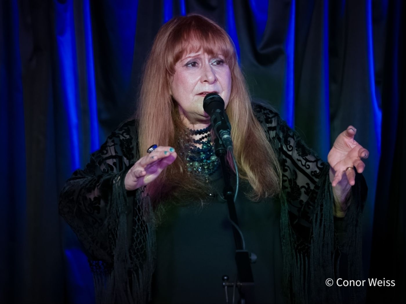 Photos: Carol Lipnik Offers Original Music In THROW DOWN A FEATHER FOR ME at Pangea  Image