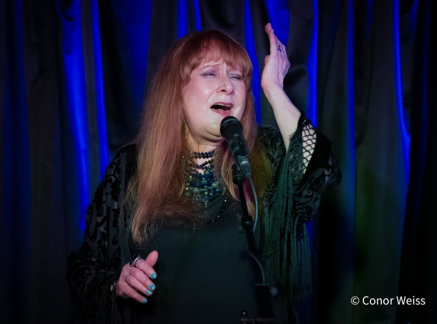 Photos: Carol Lipnik Offers Original Music In THROW DOWN A FEATHER FOR ME at Pangea  Image