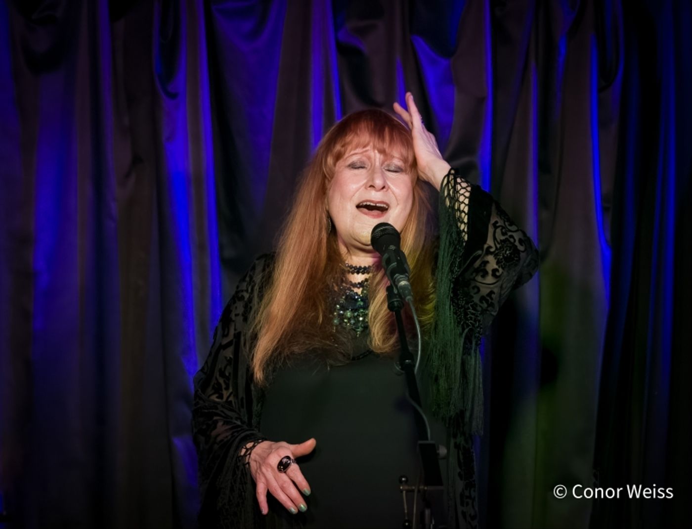 Photos: Carol Lipnik Offers Original Music In THROW DOWN A FEATHER FOR ME at Pangea  Image