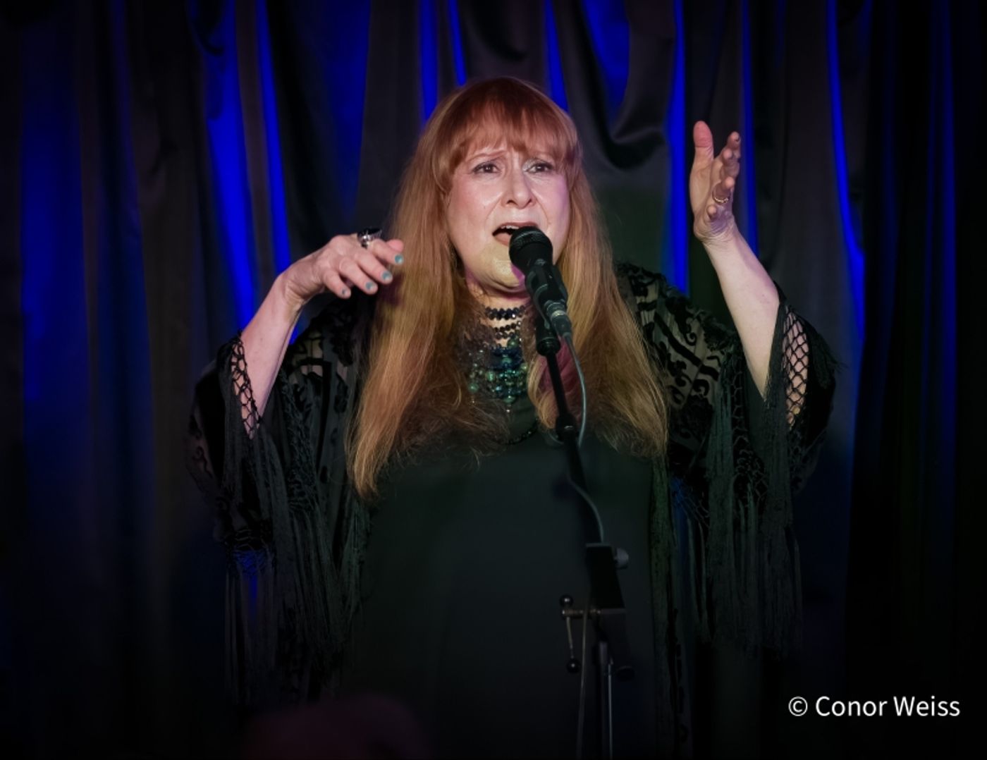 Photos: Carol Lipnik Offers Original Music In THROW DOWN A FEATHER FOR ME at Pangea  Image
