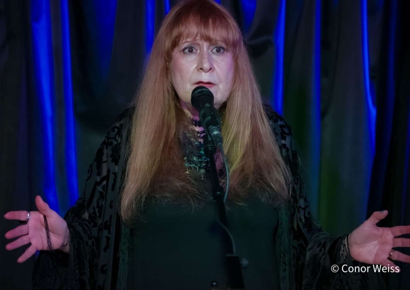 Photos: Carol Lipnik Offers Original Music In THROW DOWN A FEATHER FOR ME at Pangea  Image