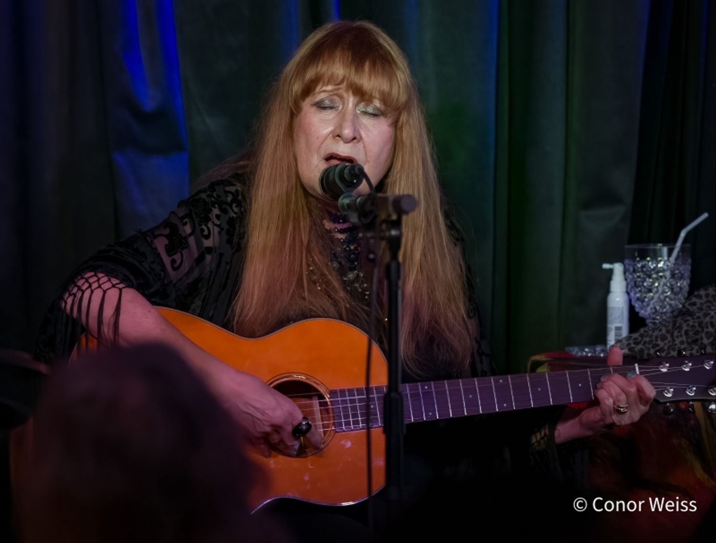 Photos: Carol Lipnik Offers Original Music In THROW DOWN A FEATHER FOR ME at Pangea  Image