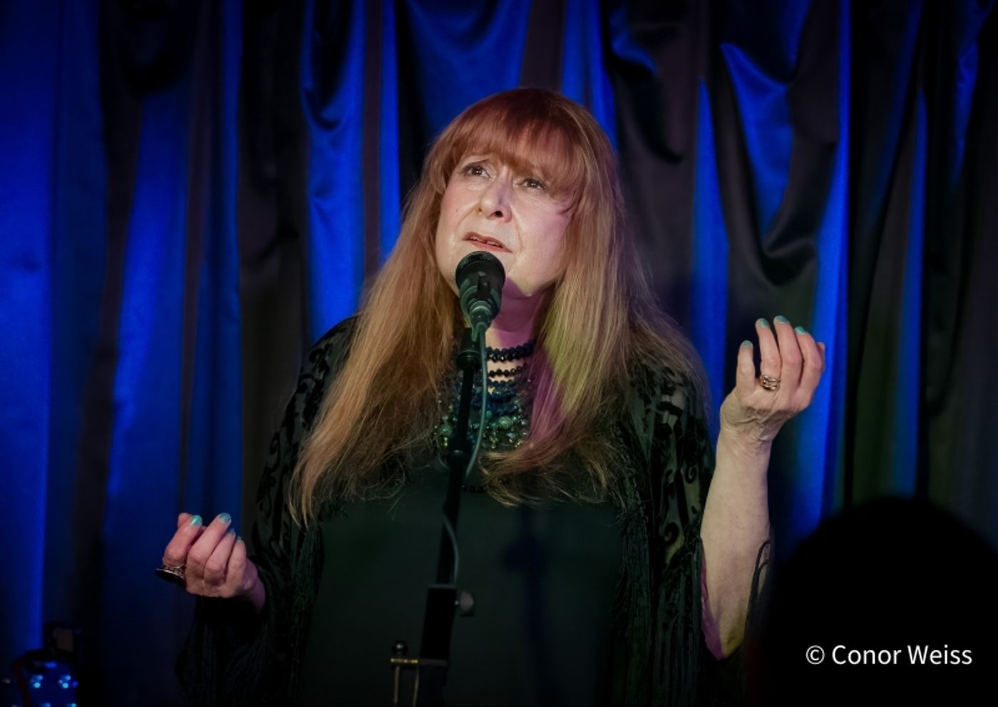 Photos: Carol Lipnik Offers Original Music In THROW DOWN A FEATHER FOR ME at Pangea  Image