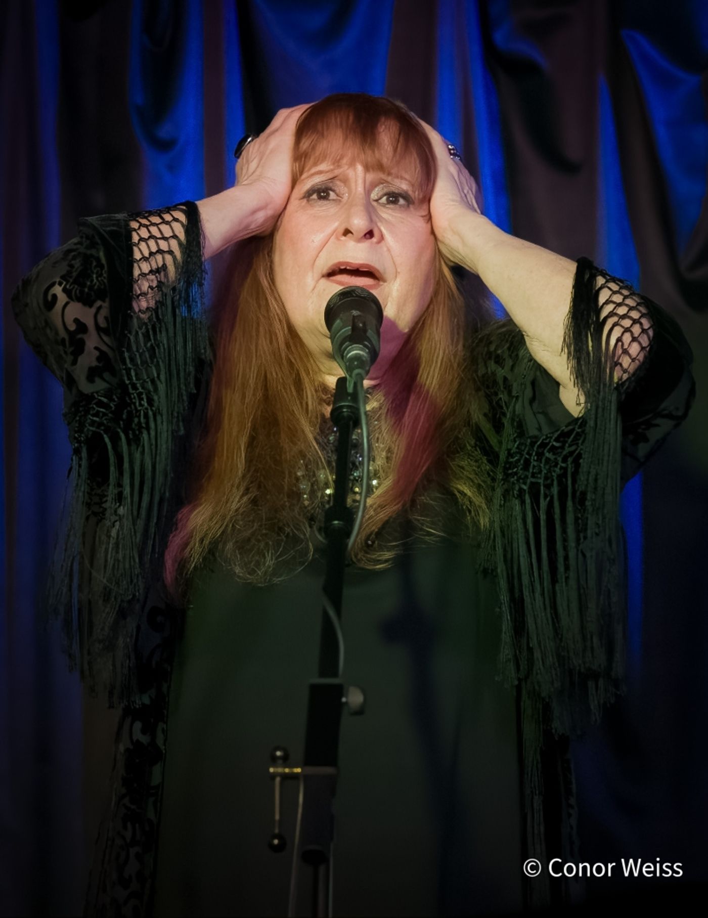 Photos: Carol Lipnik Offers Original Music In THROW DOWN A FEATHER FOR ME at Pangea  Image