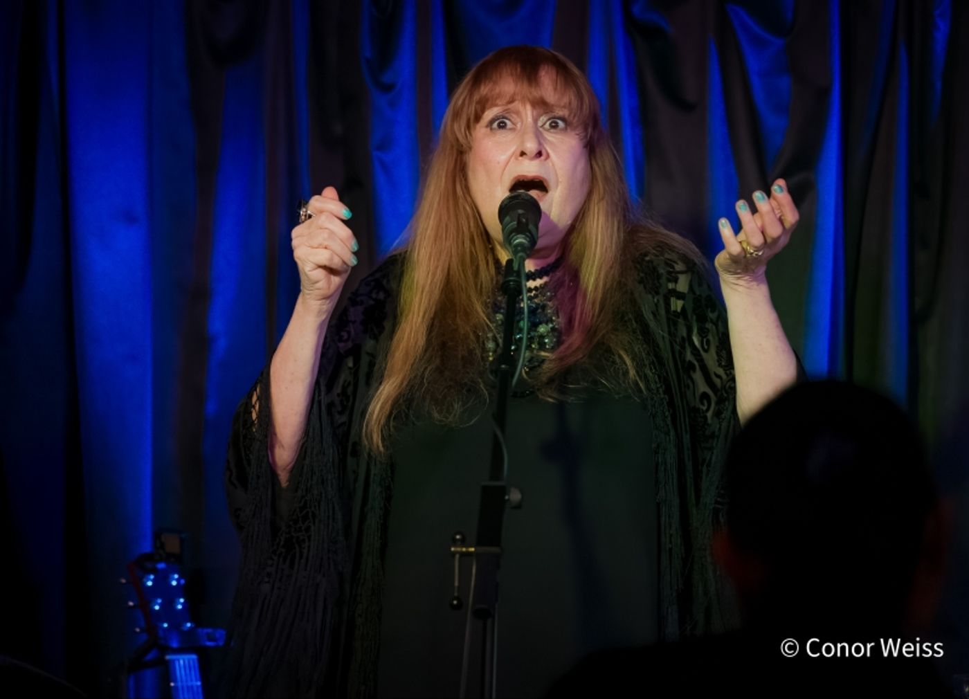 Photos: Carol Lipnik Offers Original Music In THROW DOWN A FEATHER FOR ME at Pangea  Image