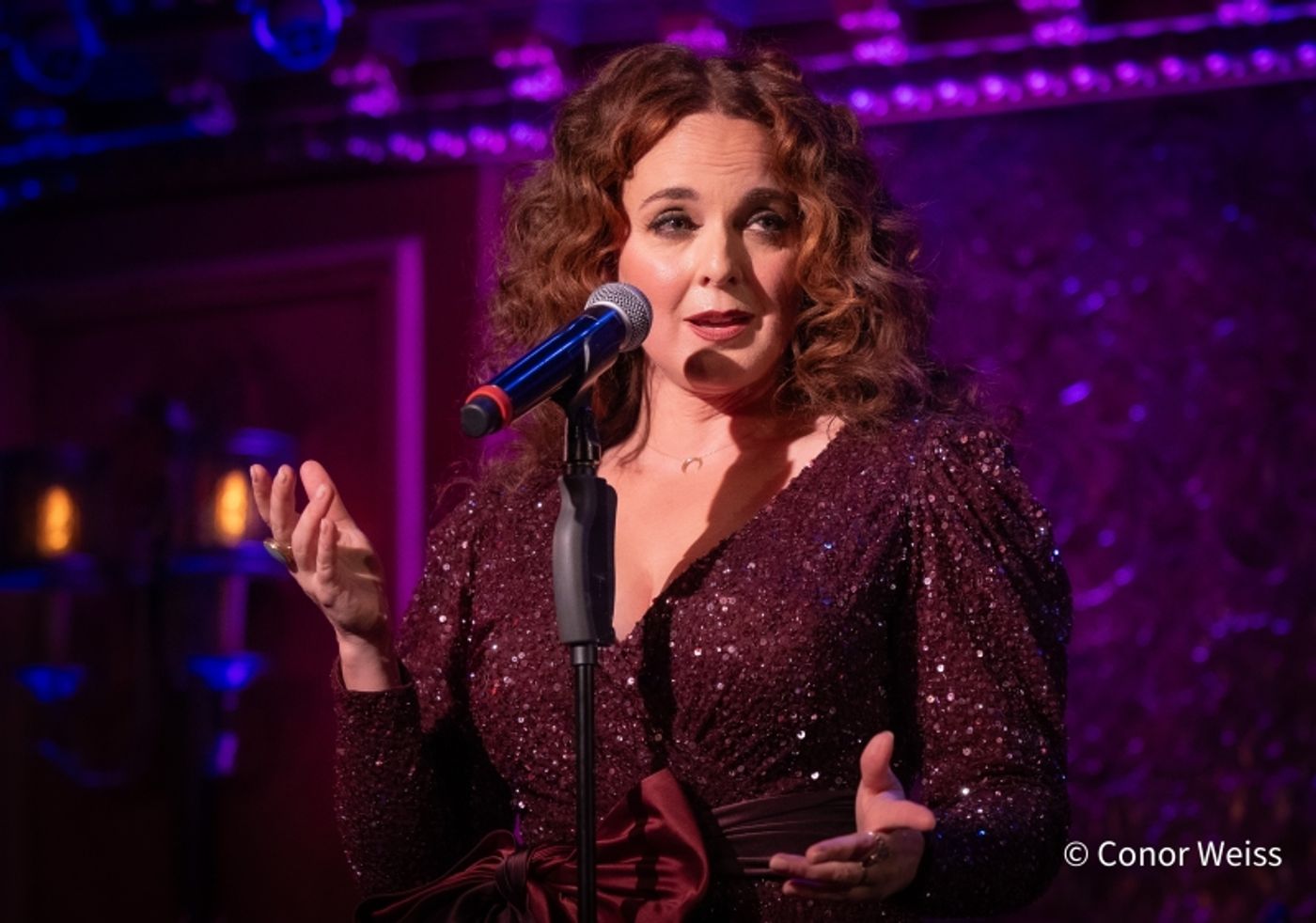 Photos: Melissa Errico Opens BROADWAY BABY- FROM MANHASSET TO MANHATTAN & BEYOND at 54 Below  Image