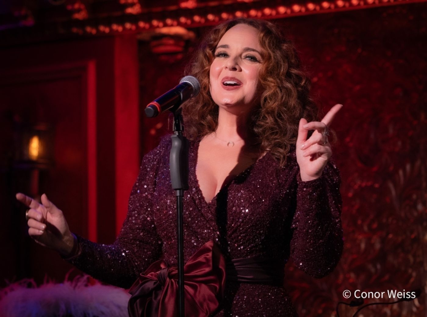 Photos: Melissa Errico Opens BROADWAY BABY- FROM MANHASSET TO MANHATTAN & BEYOND at 54 Below  Image