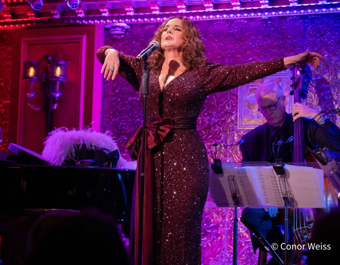 Photos: Melissa Errico Opens BROADWAY BABY- FROM MANHASSET TO MANHATTAN & BEYOND at 54 Below  Image