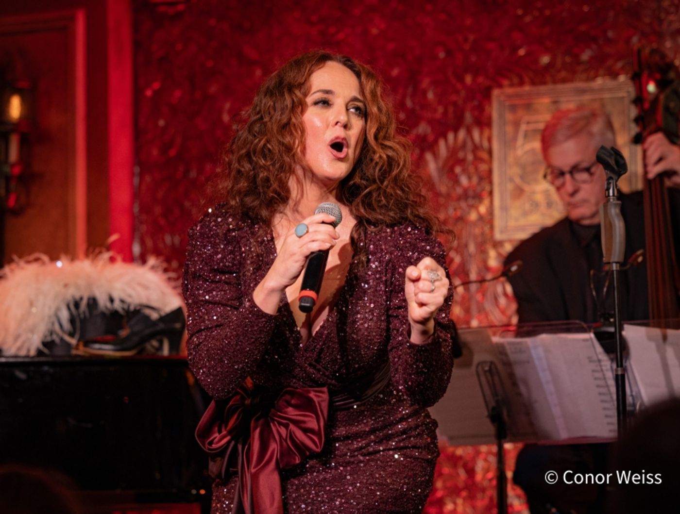 Photos: Melissa Errico Opens BROADWAY BABY- FROM MANHASSET TO MANHATTAN & BEYOND at 54 Below  Image
