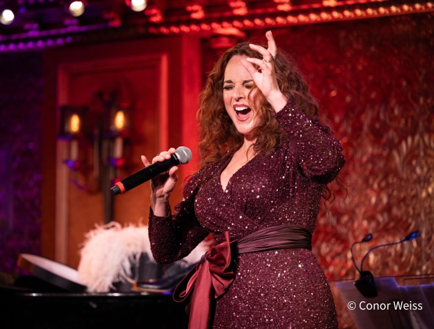 Photos: Melissa Errico Opens BROADWAY BABY- FROM MANHASSET TO MANHATTAN & BEYOND at 54 Below  Image