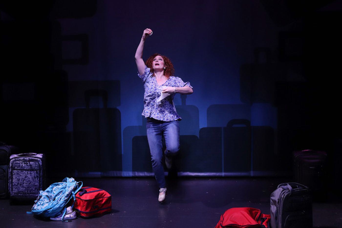 Photos: First Look At BAGGAGE AT THE DOOR At AMT Theater  Image