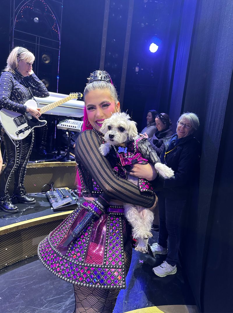 Photos: Dogs Dressed as the SIX Queens Meet the SIX Queens of Broadway — photo 3 of 7