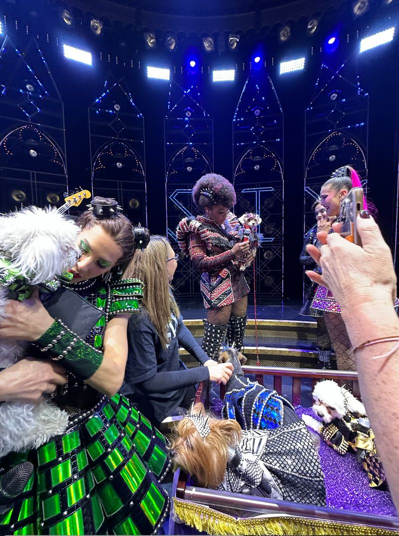 Photos: Dogs Dressed as the SIX Queens Meet the SIX Queens of Broadway — photo 6 of 7