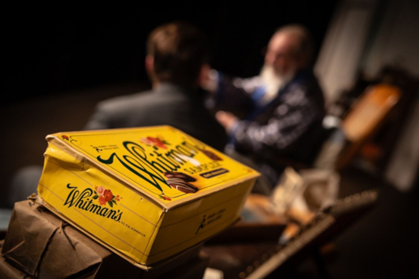 Photos: First look at Hilliard Arts Council's THE MAN WHO CAME TO DINNER  Image