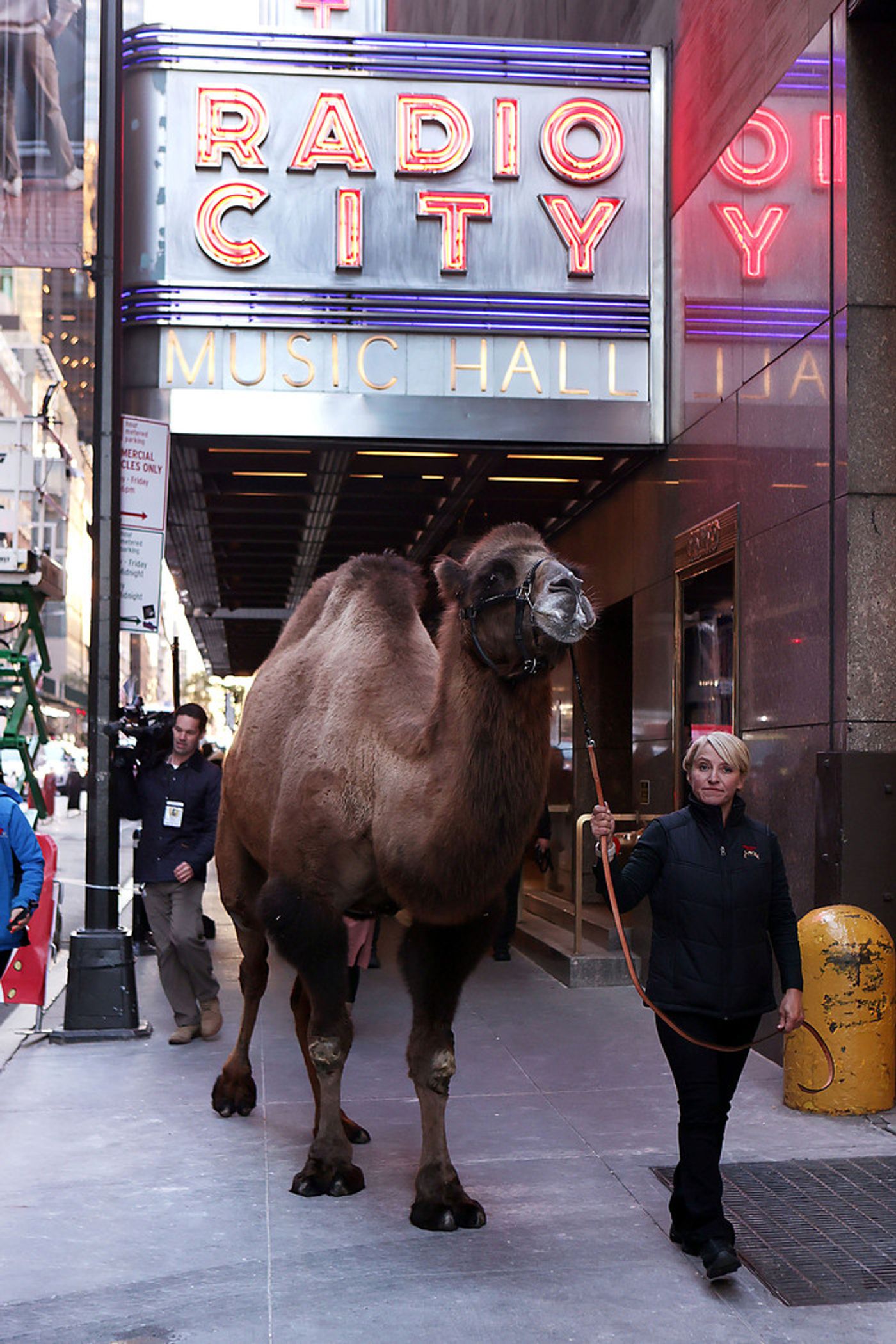 Photos: Cardinal Dolan Blesses the Animals From the 2023 Christmas Spectacular  Image