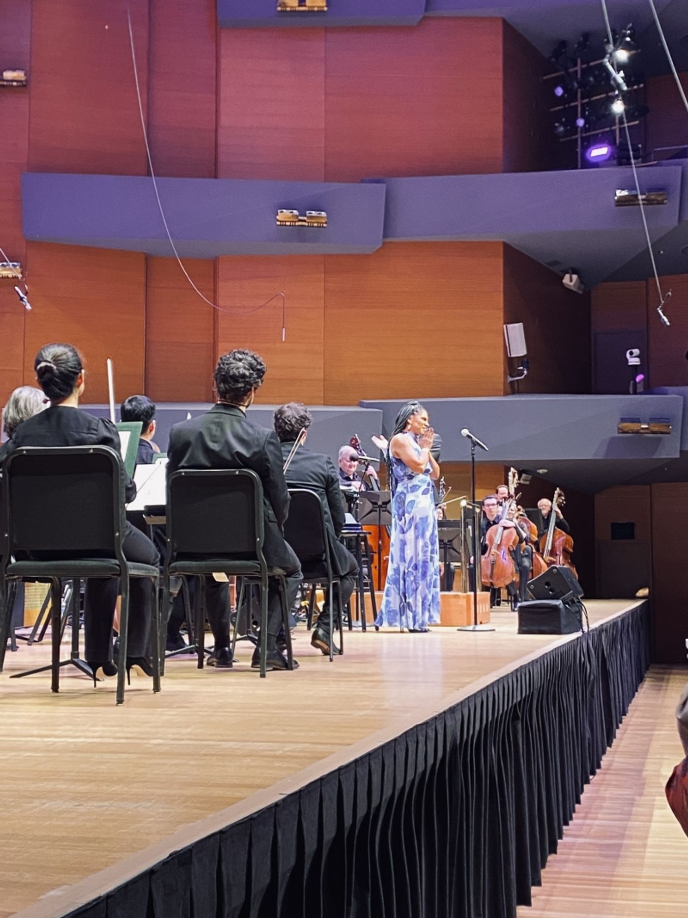 Review: AUDRA MCDONALD WITH THE MINNESOTA ORCHESTRA at Minnesota Orchestra Hall  Image