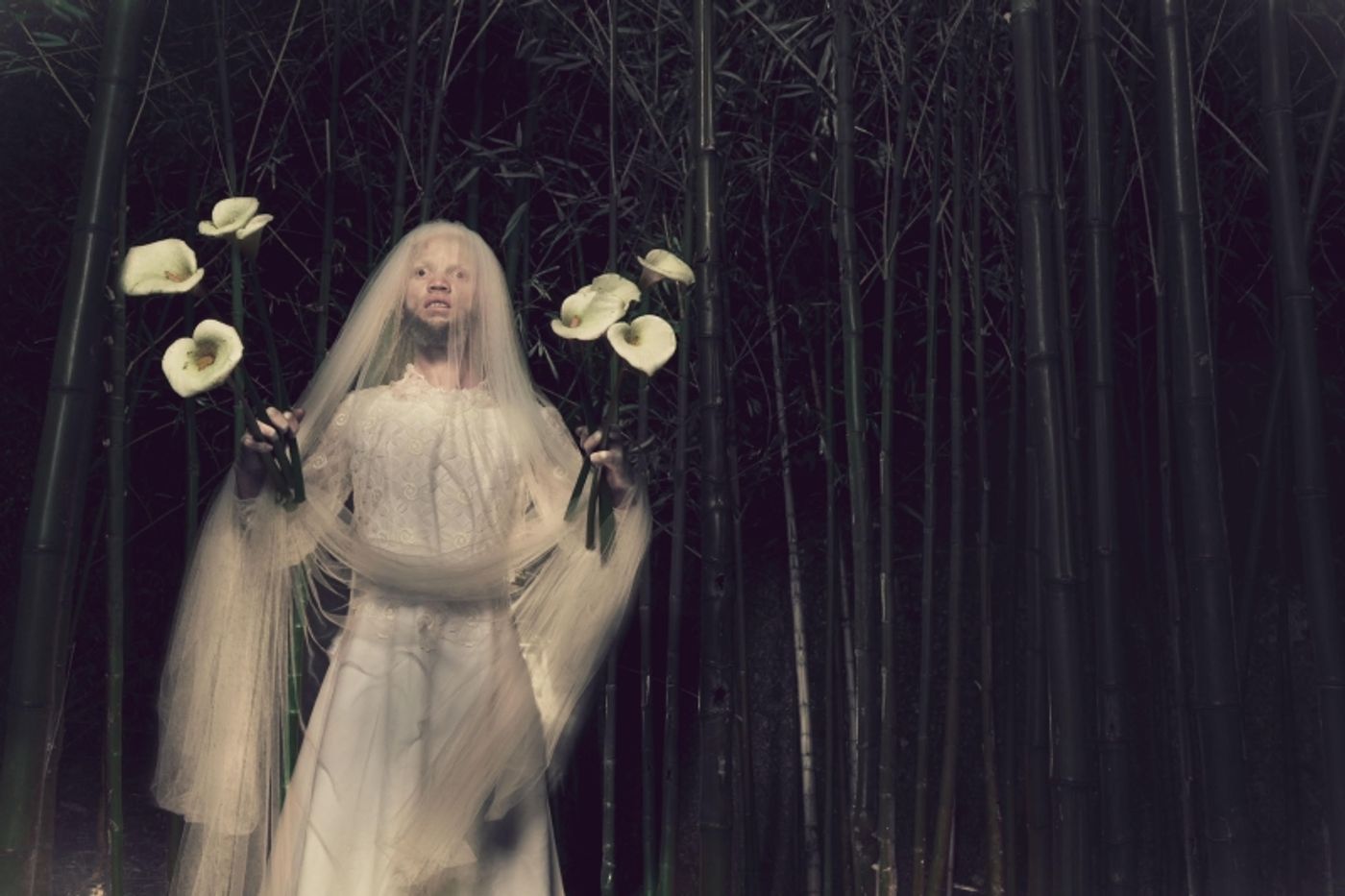 Review: CONSTELLATIONS: THE GARDEN OF GOOD AND EVIL at Spier Wine Farm Provides a Unique Experience Among the Stars Review: CONSTELLATIONS: THE GARDEN OF GOOD AND EVIL at Spier Wine Farm Provides a Unique Experience Among the Stars Image