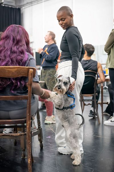Nikolai Foster (Director), Olivia Foster Brown (Ensemble) and Billy (Curve's theatre  Photo