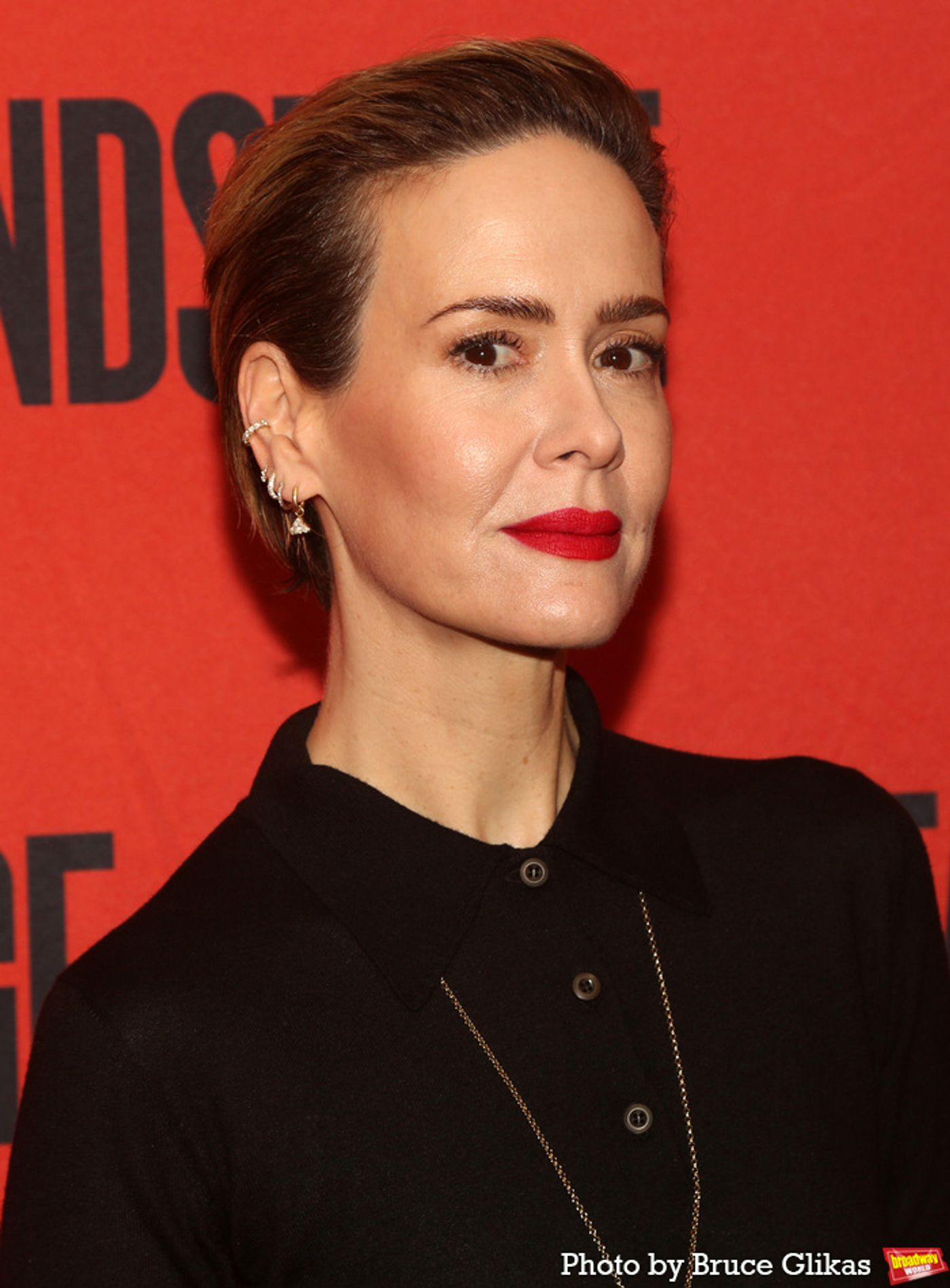 Photos: Sarah Paulson, Elle Fanning and the Cast of APPROPRIATE Meet the Press  Image