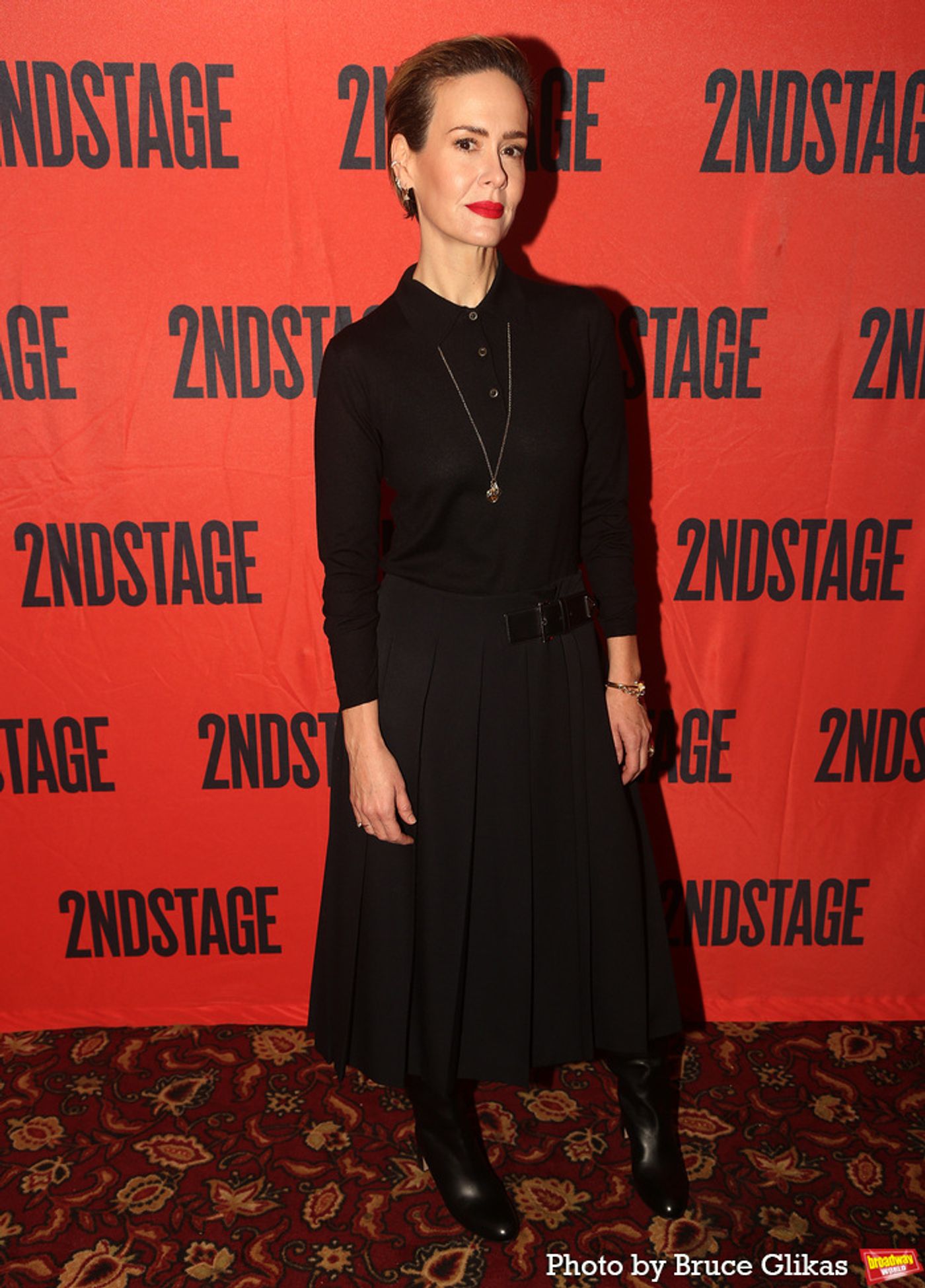 Photos: Sarah Paulson, Elle Fanning and the Cast of APPROPRIATE Meet the Press  Image