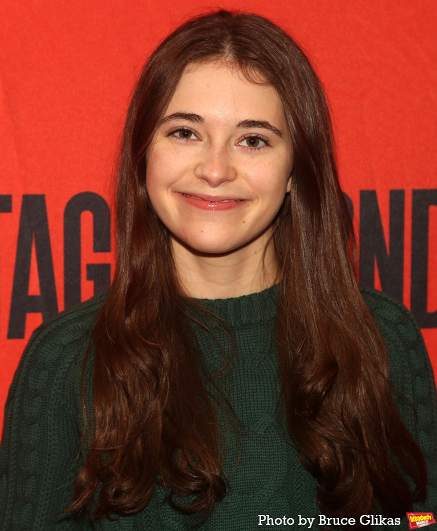 Photos: Sarah Paulson, Elle Fanning and the Cast of APPROPRIATE Meet the Press  Image