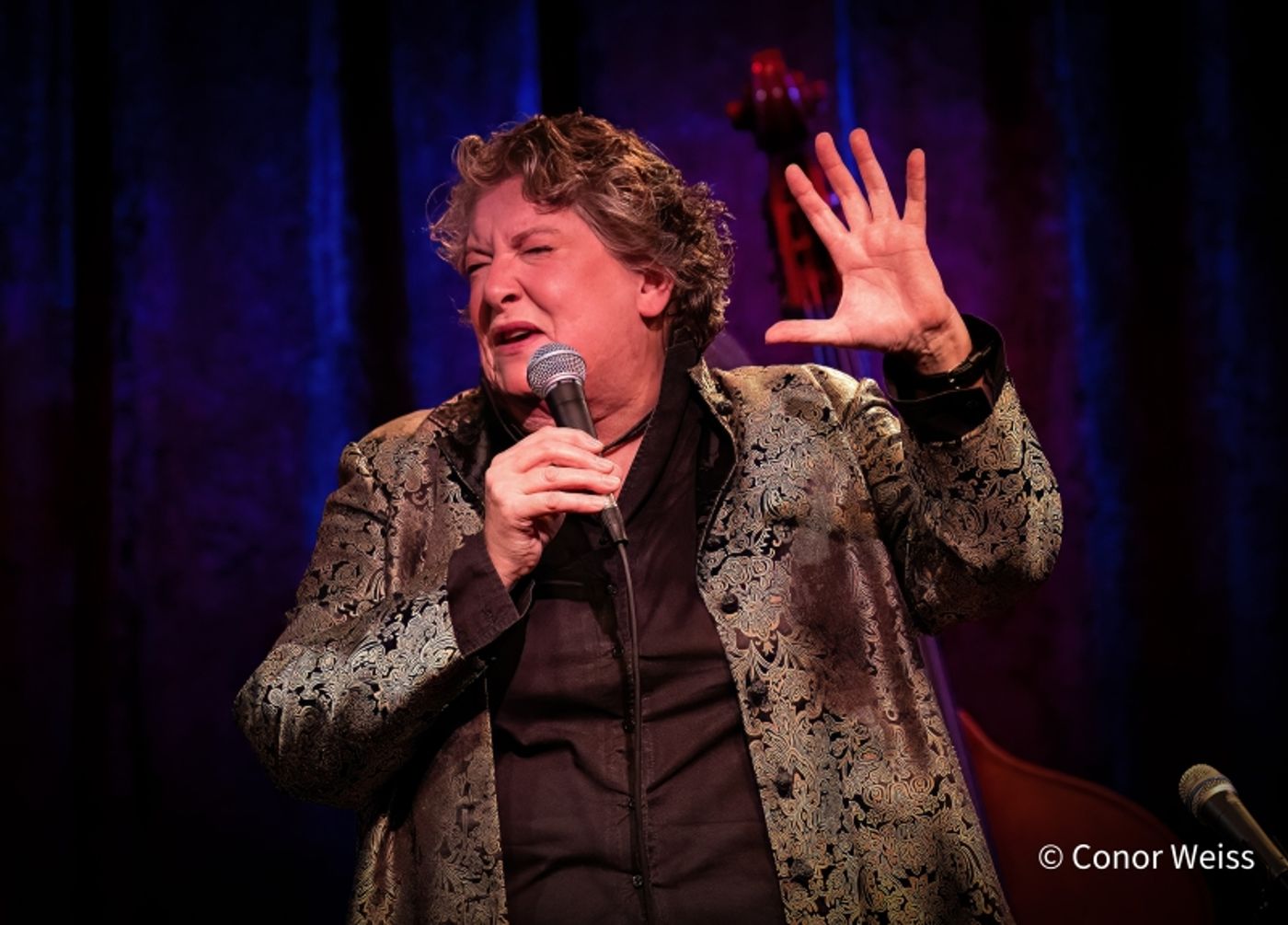 Photos: SUEDE Plays Birdland Theater Captured On Camera By Conor Weiss Photos: SUEDE Plays Birdland Theater Captured On Camera By Conor Weiss Image