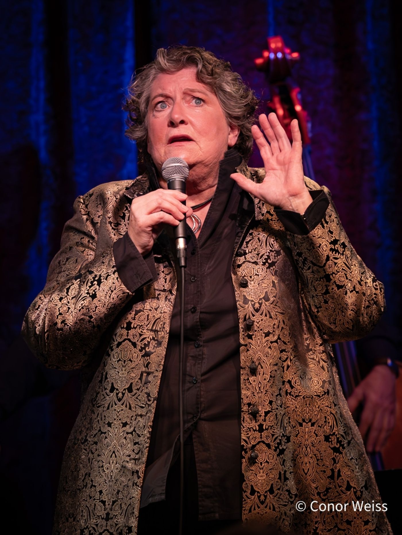 Photos: SUEDE Plays Birdland Theater Captured On Camera By Conor Weiss Photos: SUEDE Plays Birdland Theater Captured On Camera By Conor Weiss Image