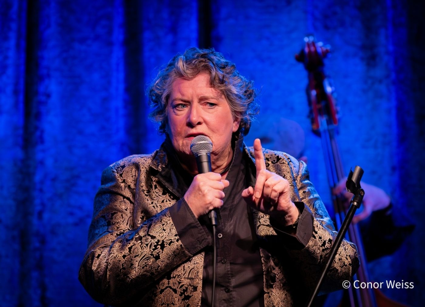 Photos: SUEDE Plays Birdland Theater Captured On Camera By Conor Weiss Photos: SUEDE Plays Birdland Theater Captured On Camera By Conor Weiss Image