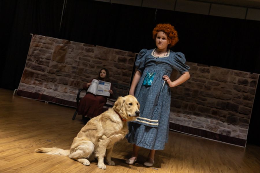 Photos: First look at Rise Up Arts Penguin Project's ANNIE JR Image