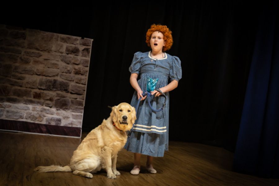 Photos: First look at Rise Up Arts Penguin Project's ANNIE JR Image