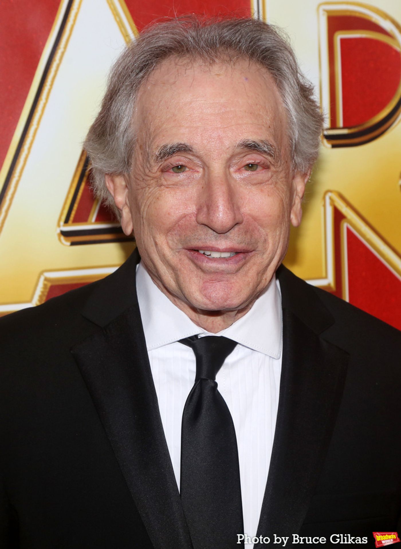 Photos: On the Red Carpet at Opening Night of HARMONY on Broadway  Image