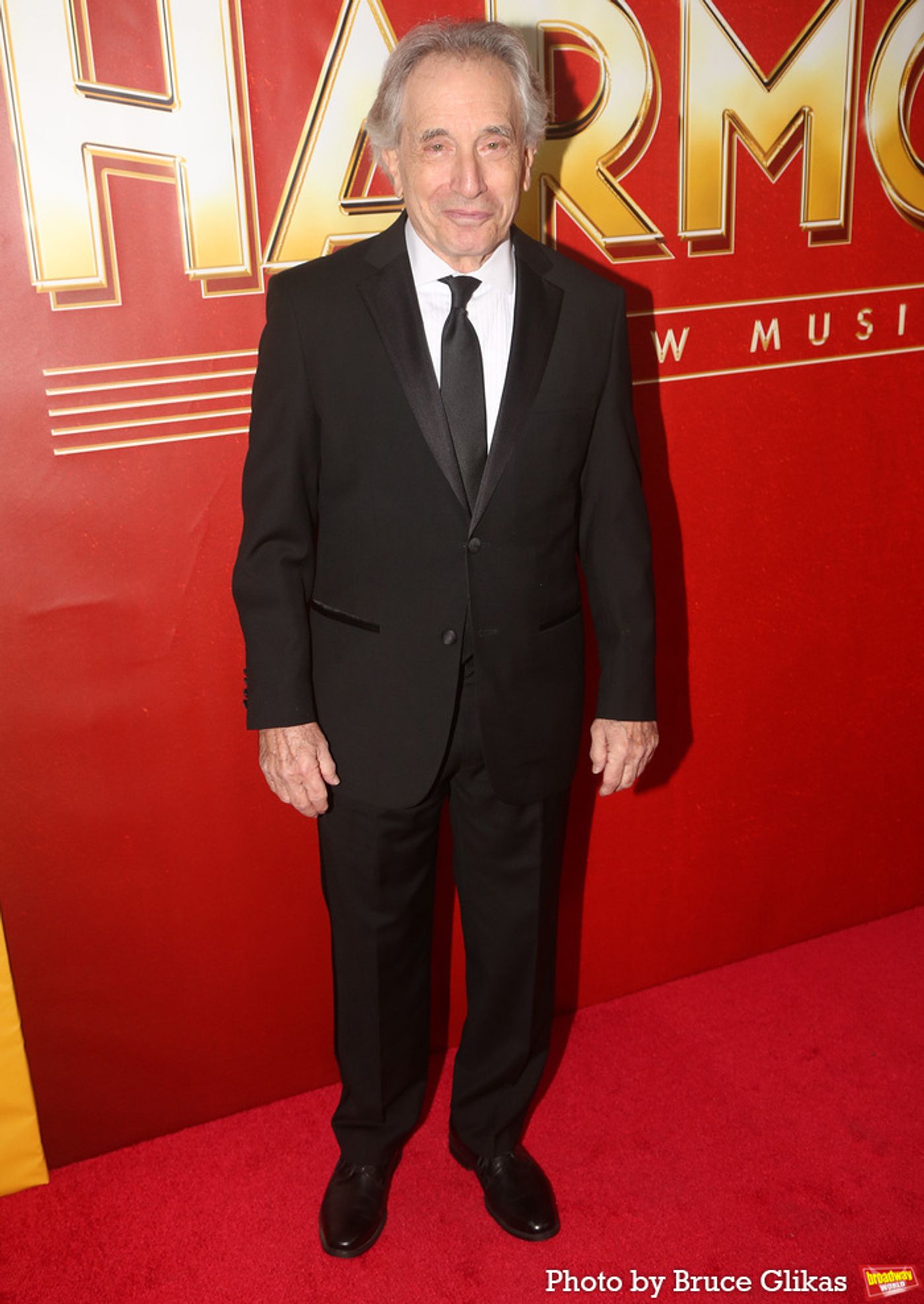 Photos: On the Red Carpet at Opening Night of HARMONY on Broadway  Image
